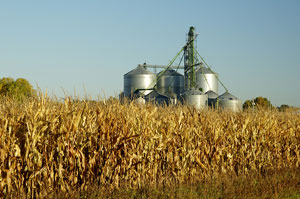 industrial farming