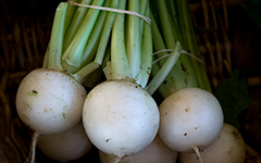 White Turnip Vegetables