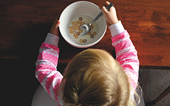 gut microbiota neurodevelopment behavior