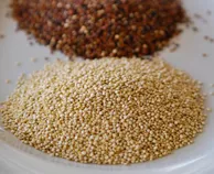 quinoa