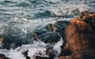 Image of a Rocky Seashore