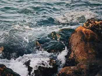 Image of a Rocky Seashore