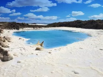 the decline of the dead sea